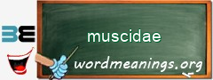 WordMeaning blackboard for muscidae